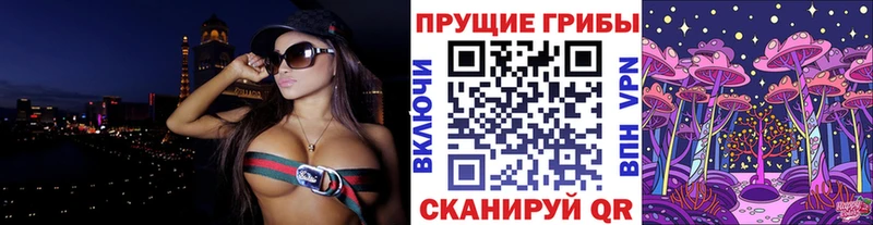 где найти   Заозёрск  Галлюциногенные грибы мицелий 
